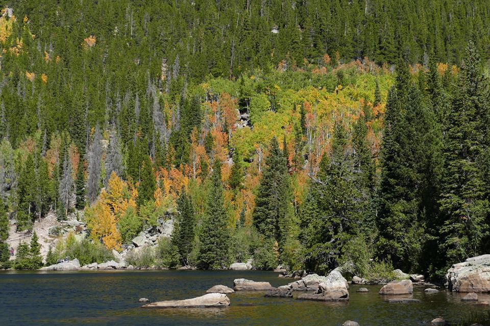lake.jpg